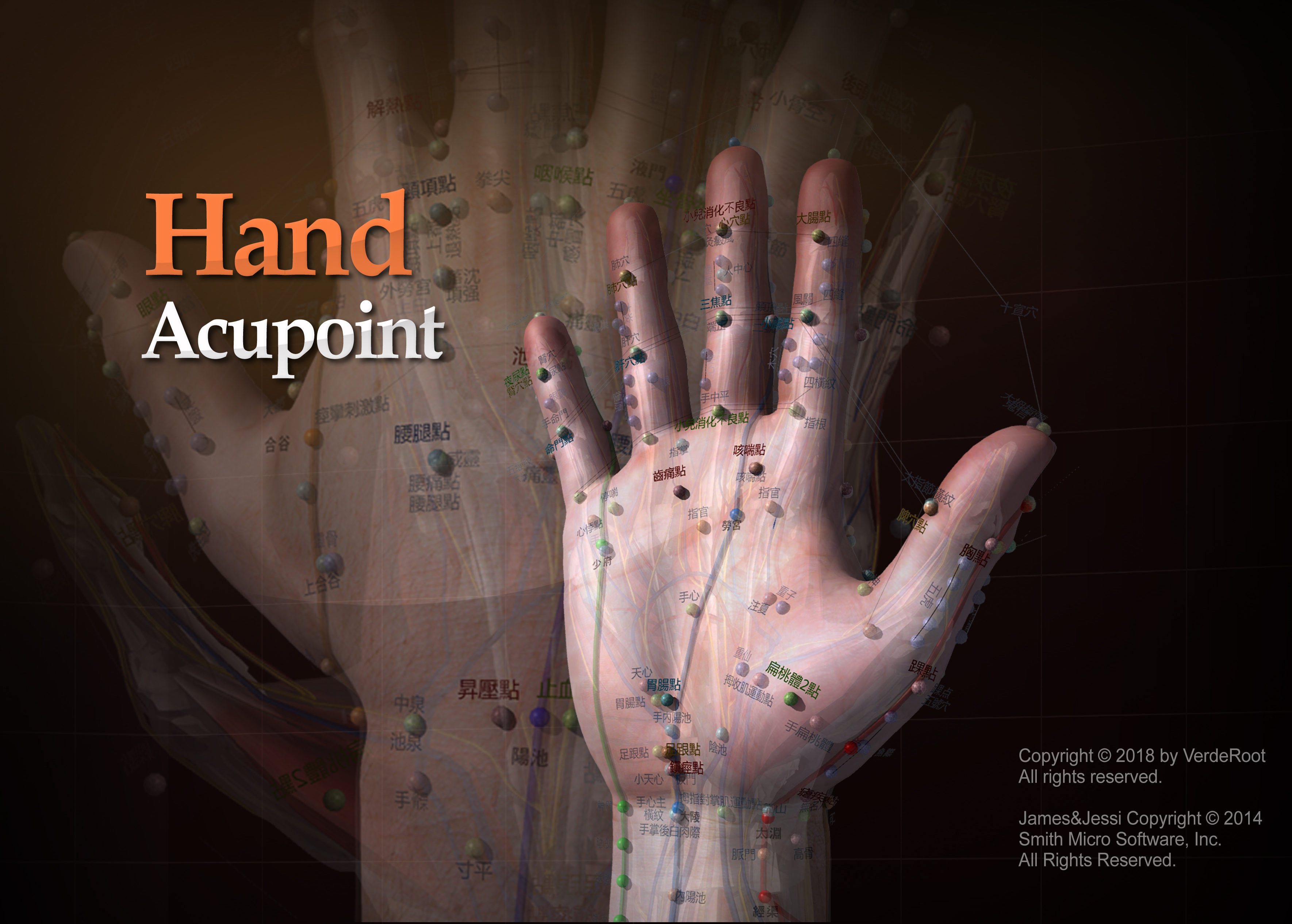 Hand Acupuncture