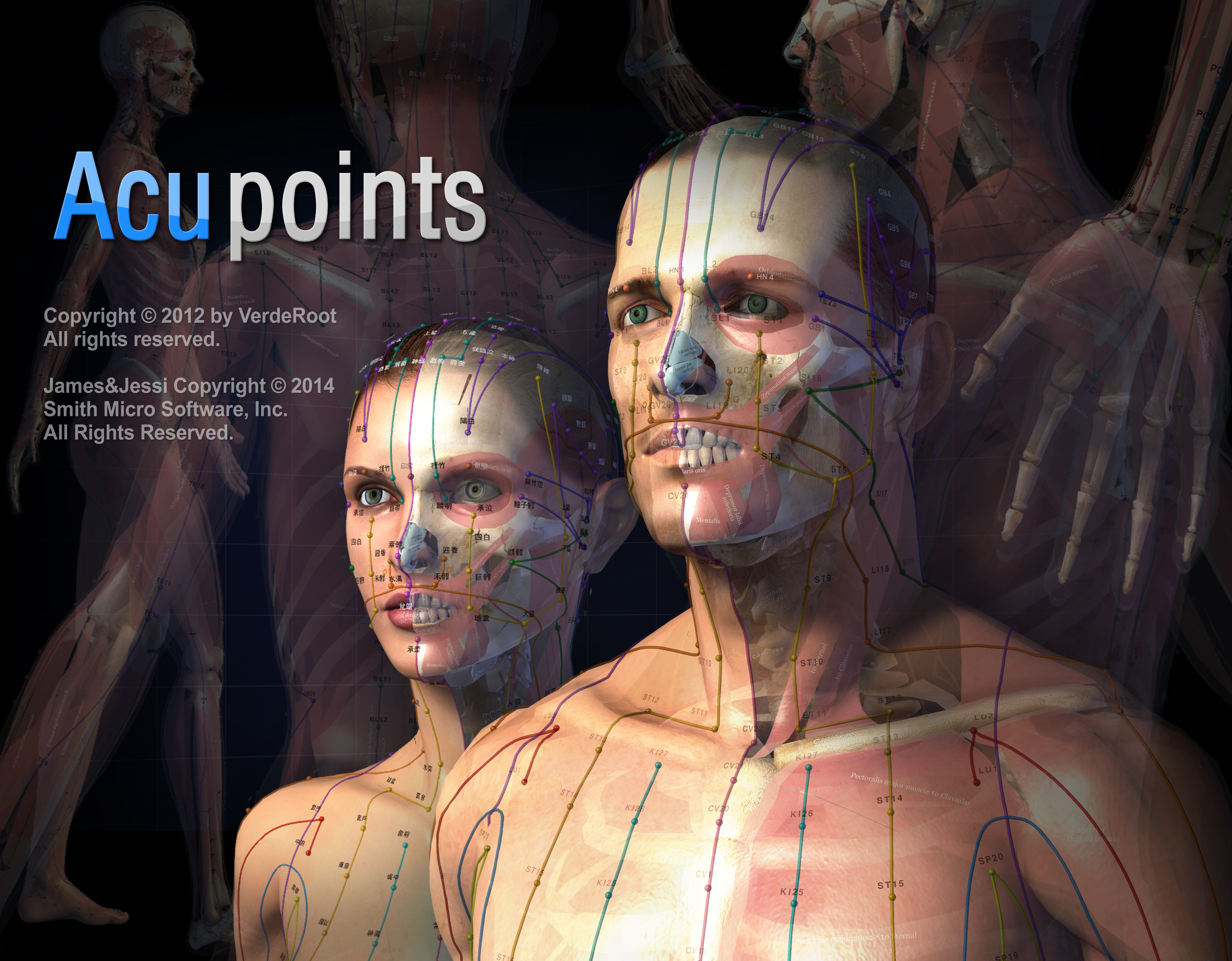 Acupoints